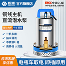 臣源直流潜水泵48V60V家用电瓶电动车抽水泵农用小型12V24V高扬程