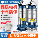 臣源不锈钢潜水泵220v家用小型高扬程井水抽水泵农用灌溉排污水泵