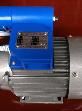 熊猫QL-380A型高压清洗机电机 280全铜水枪头电动机DM8042/32配件