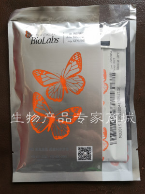 现货NEB 内切酶DpnI R0176V S L 点突变降解亲本DNA模板