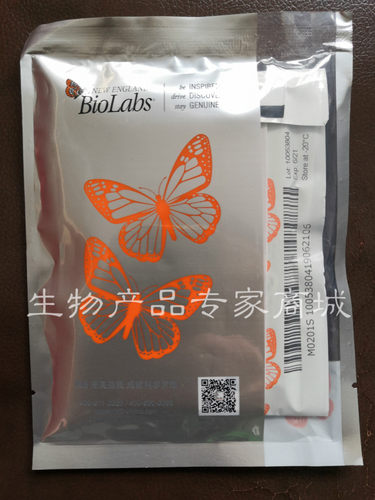 现货NEB 内切酶DpnI R0176V S L 点突变降解亲本DNA模板