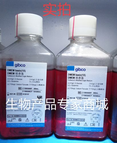 现货Gibco高糖培养基液体