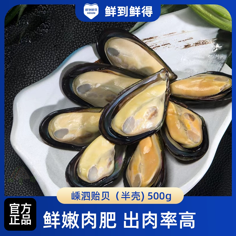 鲜到鲜得嵊泗贻贝 鲜嫩肉肥贝类制品冷冻海鲜产品500g半壳新鲜