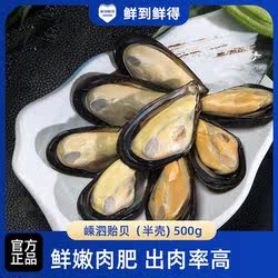 鲜到鲜得嵊泗贻贝 鲜嫩肉肥贝类制品冷冻海鲜产品500g半壳新鲜
