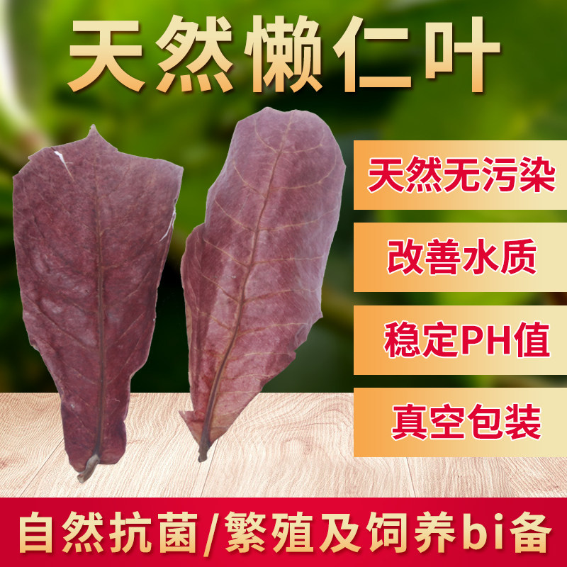 斗鱼懒人叶榄仁叶水族龙鱼小型热带鱼乌虾鱼缸改善水质降酸降ph值|ruв категории животное/Животное питание и принадлежностей, аквариум мира, PH调节剂 - от Buy2taobao.com для оказания профессиональной услуги покупки агента Taobao