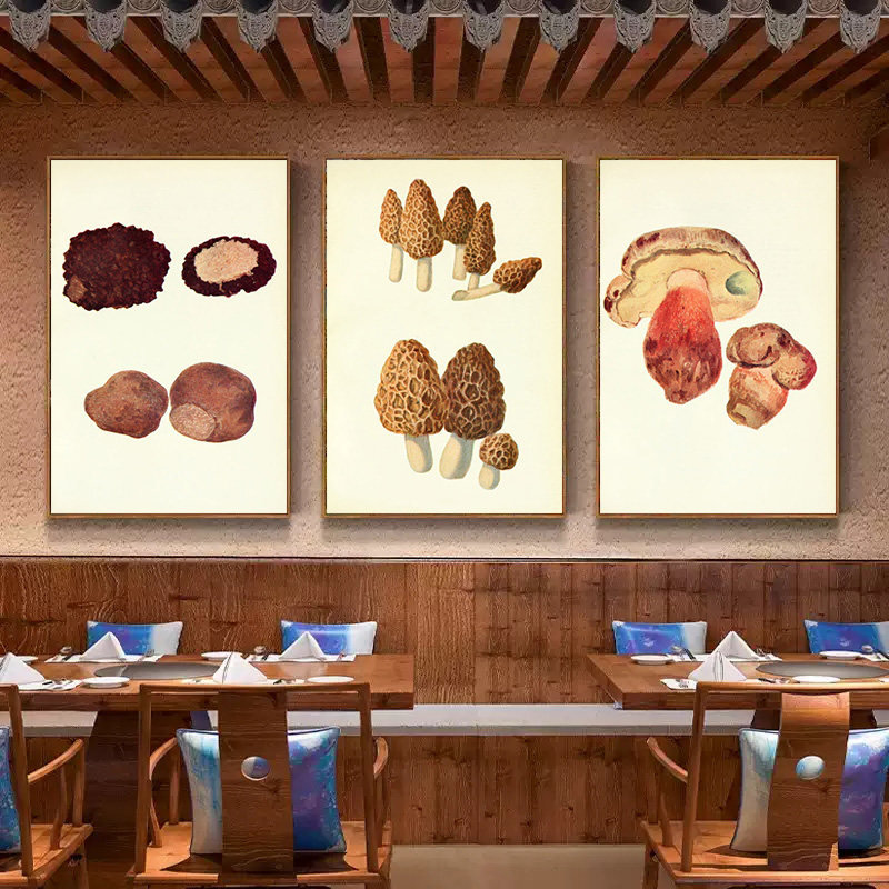 蘑菇装饰画云南野生菌菇松茸菌菇类标本复古海报汤店餐饮店墙挂画