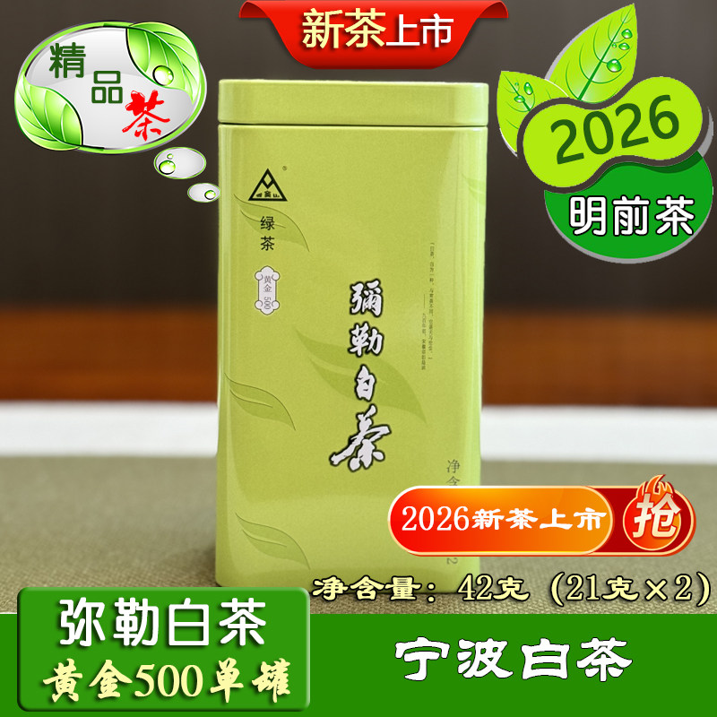弥勒白茶黄金500等级单罐42克宁波茶叶2026明前宁波白茶印雪白