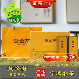 宁波黄金芽茶叶礼盒装100克宁波奉化特产茶黄金芽2025明前新茶
