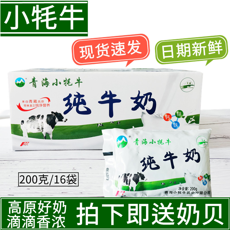 小牦牛纯牛奶全脂早餐儿童奶青海网红牛奶特产牛奶 200g*16袋