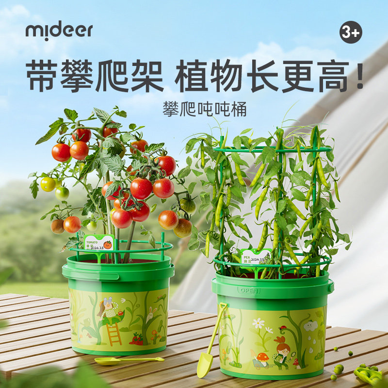 mideer弥鹿攀爬桶儿童植物种植盆栽阳光房生长观察盒科学实验玩具