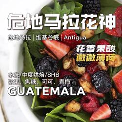 危地马拉花神 花香果酸微微薄荷 水洗中烘精品 手冲咖啡豆227g