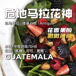 手冲咖啡豆227g 水洗中烘精品 危地马拉花神 花香果酸微微薄荷