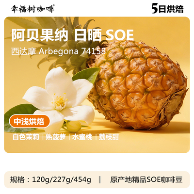 埃塞俄比亚 西达摩 阿贝果娜 日晒 SOE 新鲜烘焙 手冲精品咖啡豆