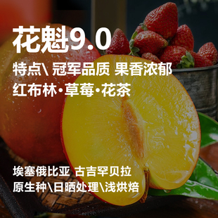 西达摩花魁9.0古吉罕贝拉日晒G1 埃塞俄比亚精品咖啡豆 百花魁首