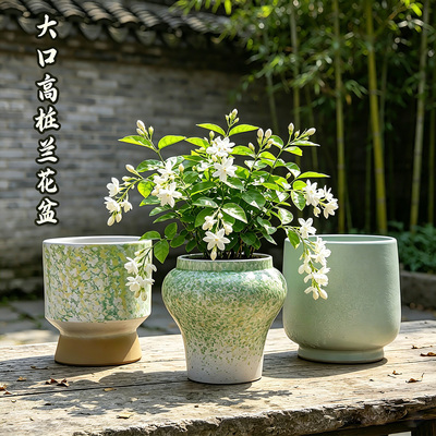 紫砂粗陶花盆多肉老桩透气素烧复古创意家用阳台绿植陶瓷花盆特价