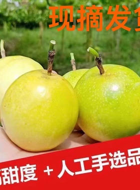 黄金百香果5斤鸡蛋果新鲜当季水果现摘现发黄色钦蜜九号百香果