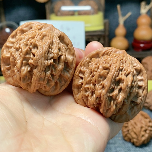 46.5狮虎兽