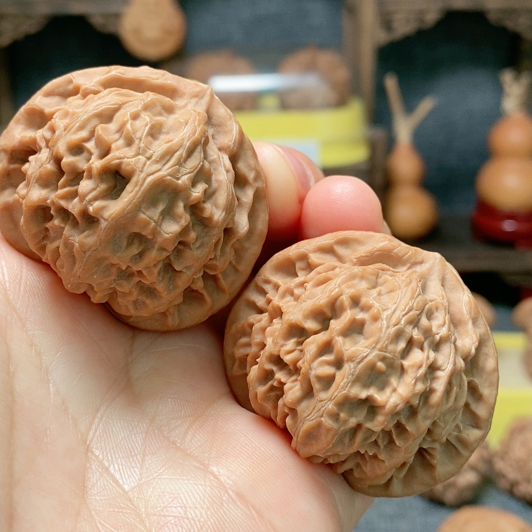 42同树原桩宫灯