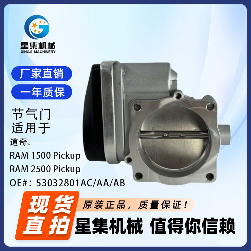 汽车节气门OE53032801AC/AA/AB