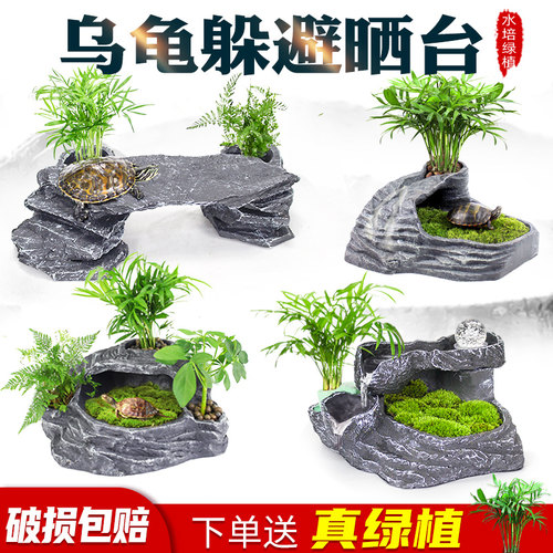 爬将军乌龟晒台爬台躲避屋