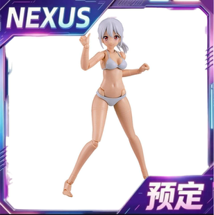 定金 PLAMATEA Muse Body:Ichika 比基尼Ver. C型