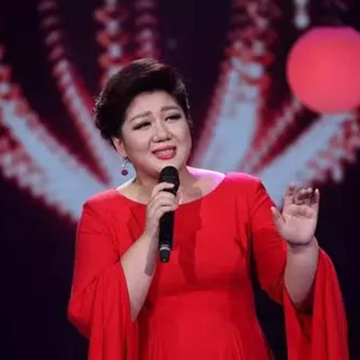 张妮我一定要回去伴奏精品制作无损音 青歌赛比赛演出伴奏女高音