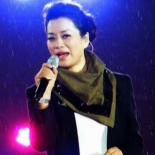 毛阿敏 大爱无边 “五个一”晚会版伴奏 无损音质