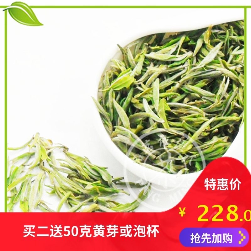 2024年新茶霍山黄芽明前特级250g