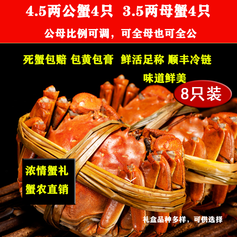 固城湖大闸蟹大闸蟹鲜活螃蟹