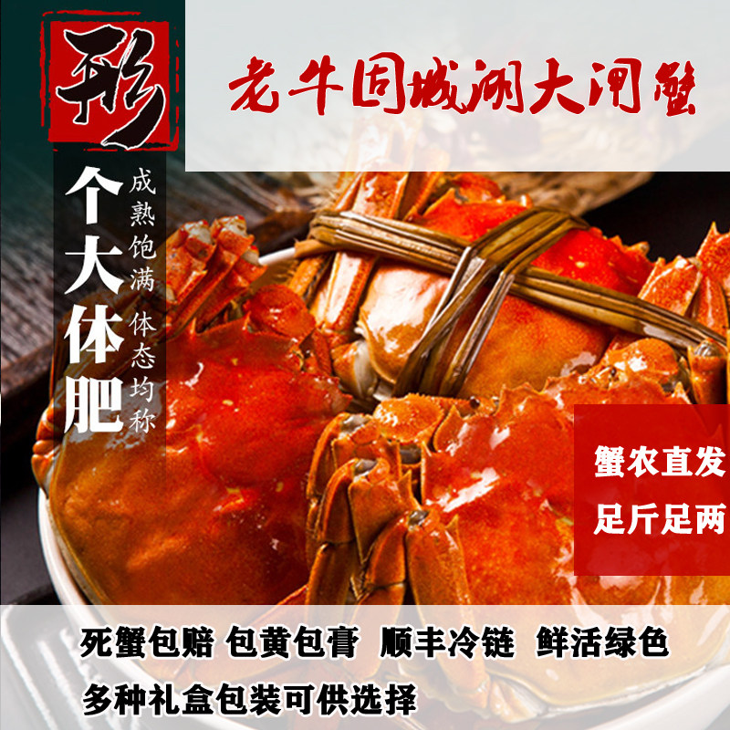 包邮鲜活固城湖蟹高淳礼盒