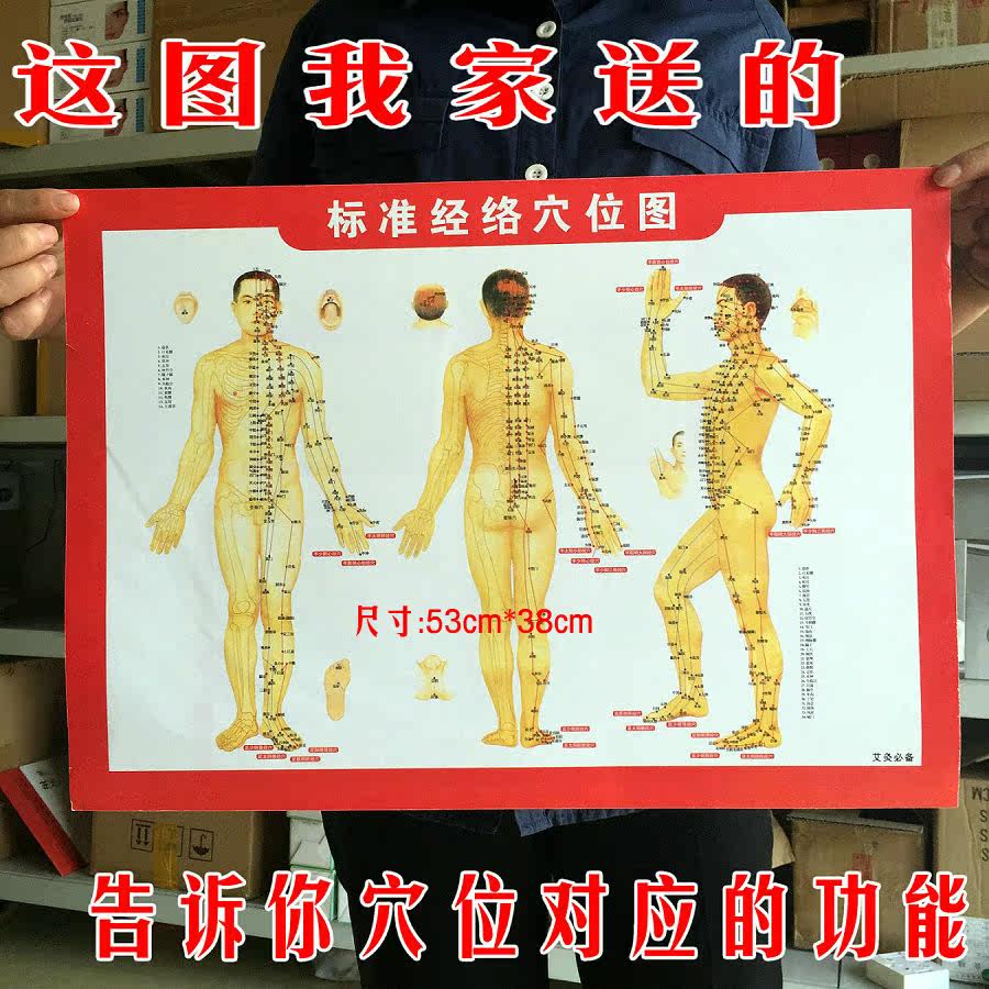 Câble extension USB - Ref 436491 Image 4