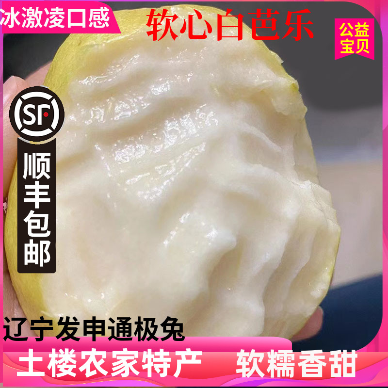 新鲜闽南白心珍珠芭乐香甜脆爽