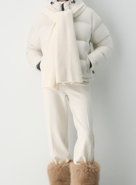 aritzia加拿大女款四格连帽加厚鹅绒800蓬羽绒服雾面常规短款