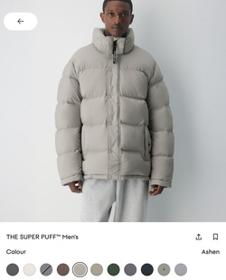 aritzia加拿大男款五格连帽加厚鹅绒800蓬面包服羽绒服【雾面】