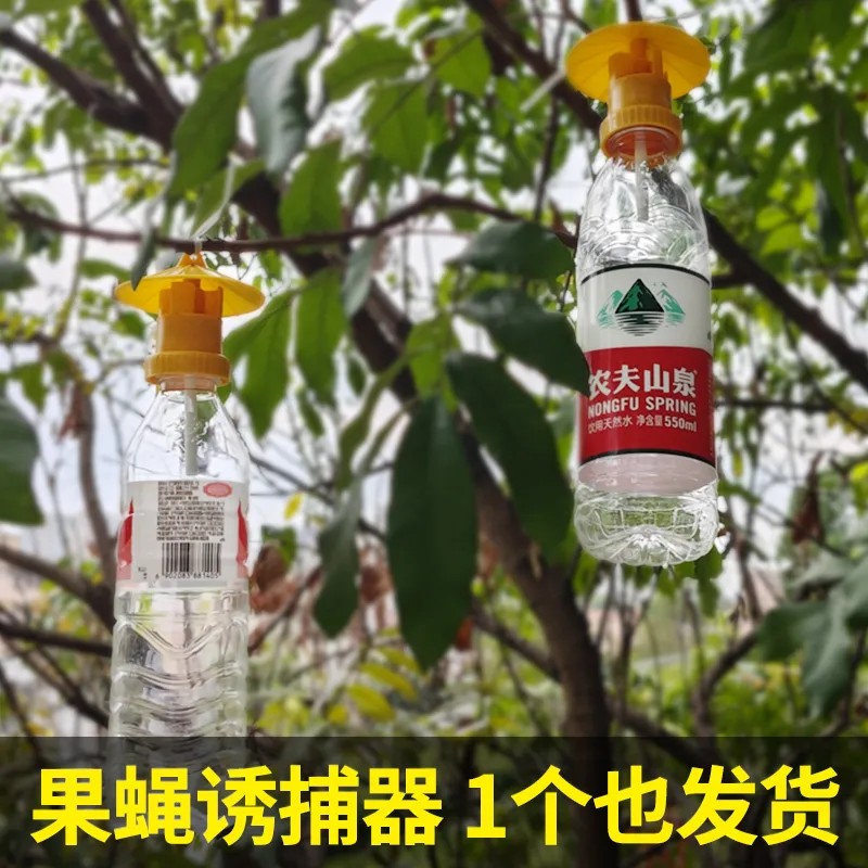 果蝇果树瓜田诱捕器神器盖头