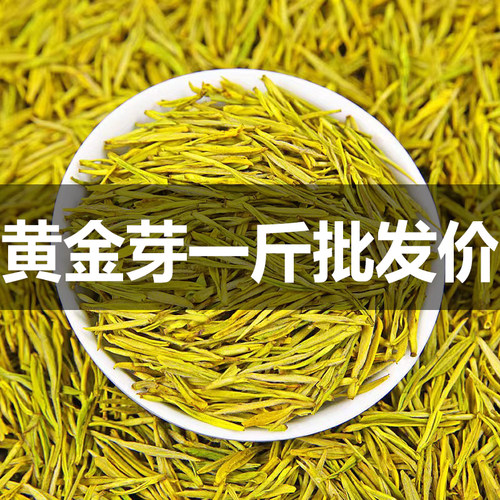 浓香型黄金芽一斤散装原产地批发