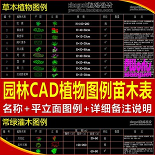150531园林景观CAD植物图例苗木表人物铺装拼花草树施工图库素材