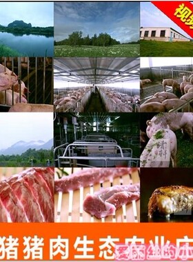 有机生猪猪肉生态农业庄园高清实拍视频素材 绿色蔬菜有机超市