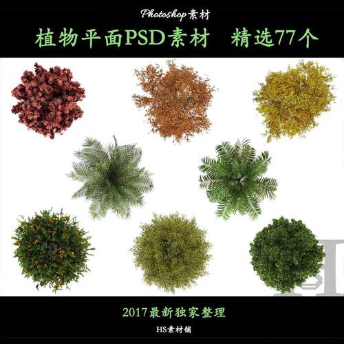 高清园林景观乔木灌木树木植物平面图PSD彩色平面图PS分层素材