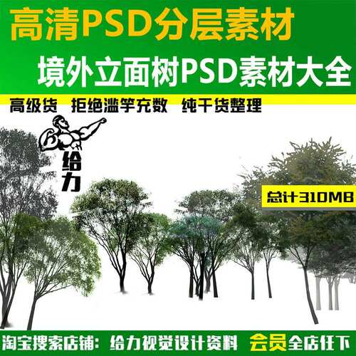 P10-境外立面树植物PSD素材源文件效果图景观P图素材剖面素材