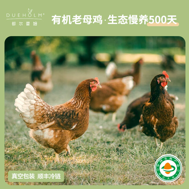 【顺丰包邮】都尔霍姆生态散养500天有机老母鸡 1.2kg/只