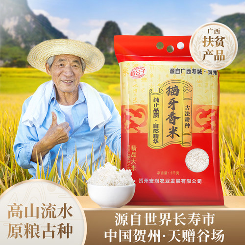 猫牙米长粒香米丝苗米大米10斤