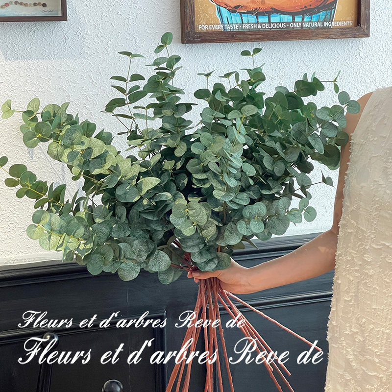 金钱草仿真尤加利叶绿植物装饰