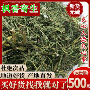 中药材野生正品螃蟹寄生 枫香树寄生 枫树寄生 路路通寄生 新货