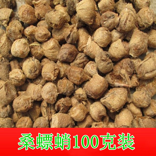 桑螵蛸中药材500g桑蛸无硫生桑螵蛸螳螂子刀螂生桑蛸打粉男性滋补