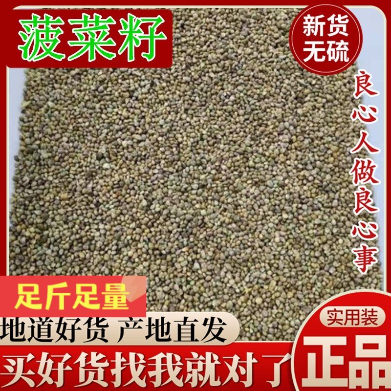 菠菜籽中药材 菠菜籽药用菠菜子 菠菜籽粉无糖新菠菜籽500克包邮