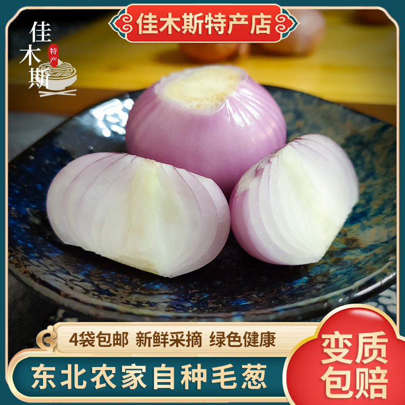 毛葱500g东北小鬼子葱头农家自产毛葱头黑龙江特产蘸酱烧烤葱