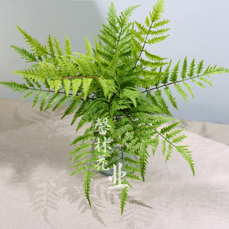 山蕨仿真假草波斯草羊齿蕨室内植物墙摆设绿植铁线蕨山草配材