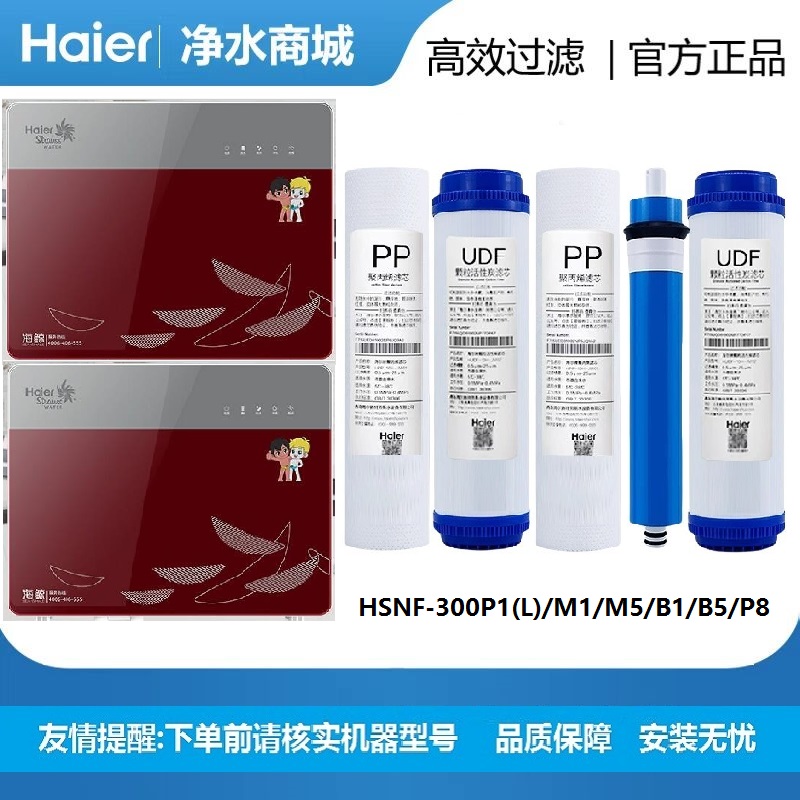 海尔施特劳斯净水器滤芯HSNF-300P1(L)/M1/M5/B1/B5/P8过滤净化网