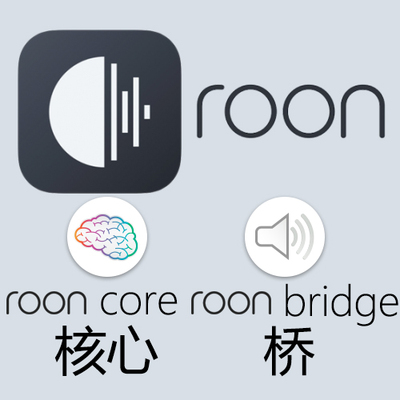 roon core 核心 roon bridge 网桥roon labs roon nucleus